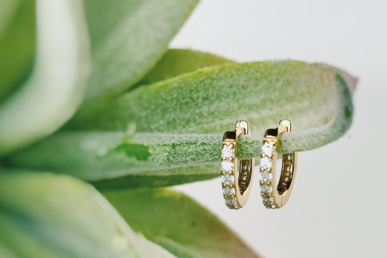 a pair of yellow gold diamond huggies earrings hanging on the branch of a succulent
