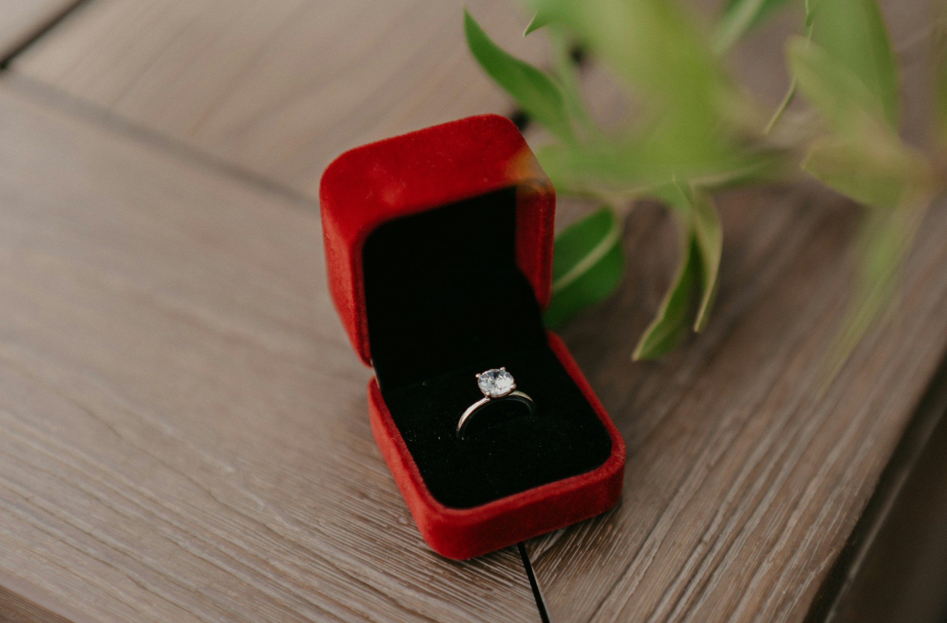 A classic solitaire diamond engagement ring in a red velvet box placed on a wooden surface with green leaves nearby. A classic solitaire diamond engagement ring in a red velvet box placed on a wooden surface with green leaves nearby.